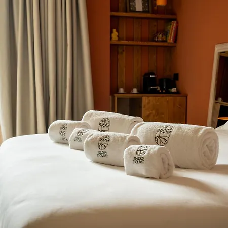 Bed & Breakfast Radici D'olivo Bisceglie
