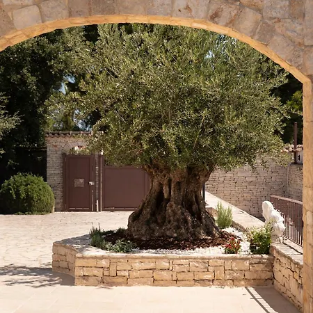 Bed & Breakfast Radici D'olivo
